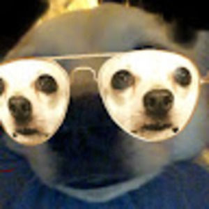 Meet your Posher, Grant